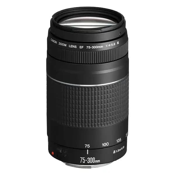 Objectif canon EF 75-300mm f/4-5.6 III