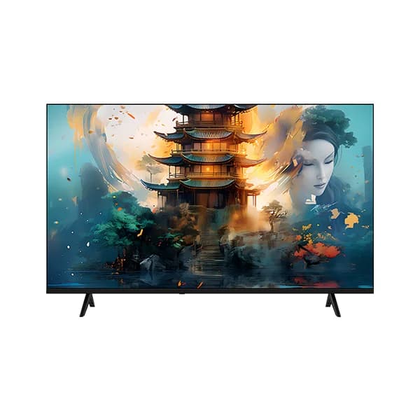 TV 43 Pouces Smart Google TV Enduro NW43X700GTV