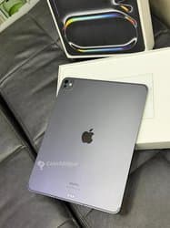 iPad pro m4 256 13