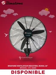 Ventilateur Binatone 26"