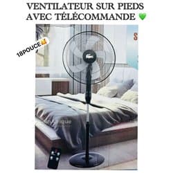 Ventilateur 18 pouces